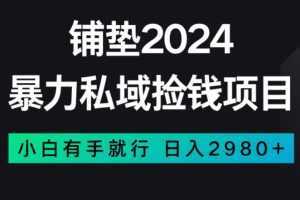 暴力私域捡钱项目,小白无脑操作,日入2980【揭秘】