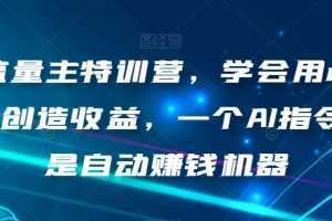 AI流量主特训营,学会用chatgpt创造收益,一个AI指令就是自动赚钱机器