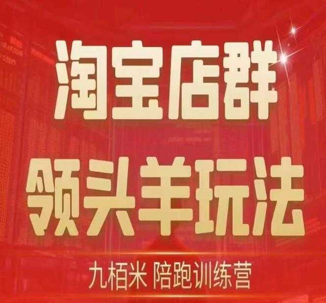 九栢米-淘宝店群领头羊玩法,教你整个淘宝店群领头羊玩法以及精细化/终极蓝海/尾销等内容