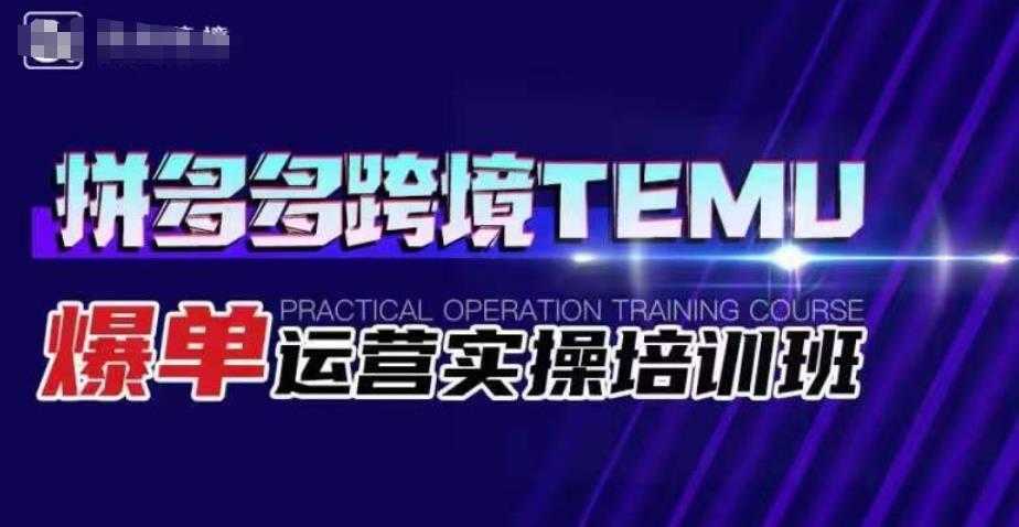 拼多多跨境TEMU爆单运营实操培训班,海外拼多多的选品、运营、爆单