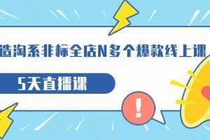 打造-淘系-非标全店N多个爆款线上课,5天直播课