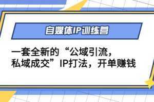 自媒体IP训练营(12+13期),一套全新的“公域引流,私域成交”IP打法 开单赚钱