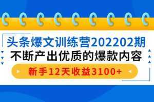 头条爆文训练营202202期,不断产出优质的爆款内容,新手12天收益3100+