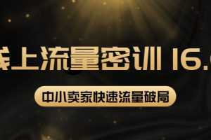 2022线上流量密训16.0:包含暴力引流10W+,中小卖家流量破局技巧等等