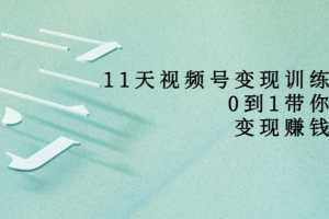 11天视频号变现训练营,从0到1打造变现赚钱系统