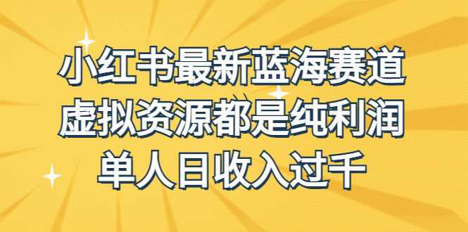 外面收费1980的小红书最新蓝海赛道,虚拟资源都是纯利润,单人日收入过千