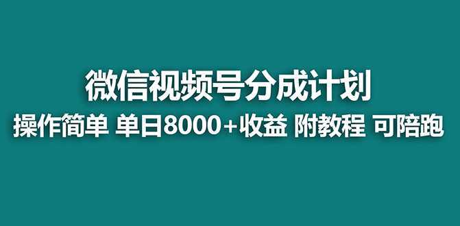 【蓝海项目】视频号分成计划,单天收益8000+,附玩法教程!可陪跑