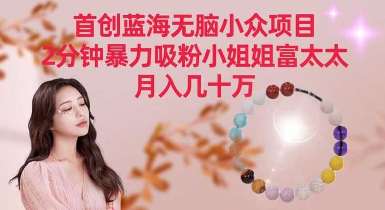 首创蓝海无脑小众项目,2分钟暴力吸粉小姐姐富太太,月入几十万【揭秘】