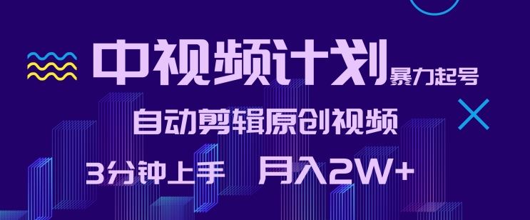 中视频计划暴力起号,自动剪辑原创视频,3分钟上手,月入2W+【揭秘】