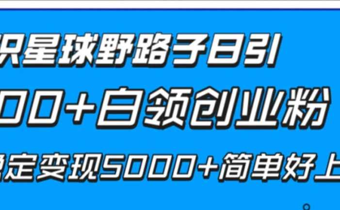 知识星球野路子日引300+白领创业粉，日稳定变现5000+简单好上手！
