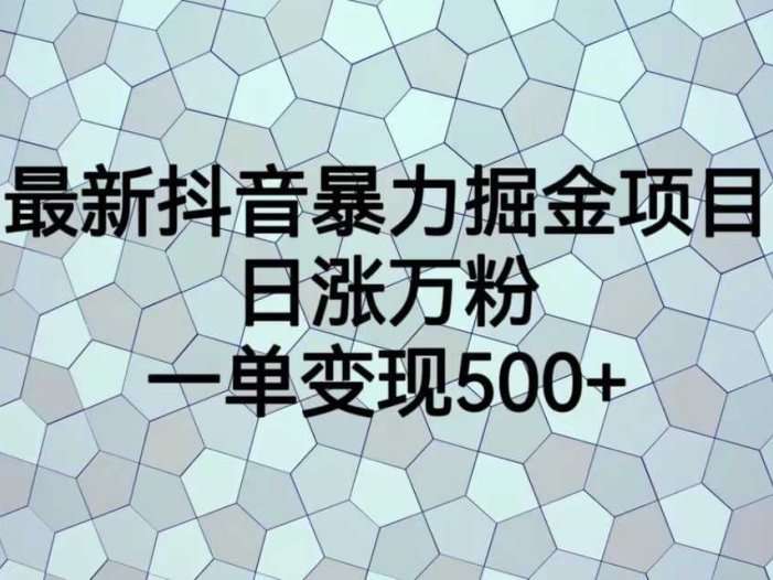最新抖音暴力掘金项目，日涨万粉，一单变现500+