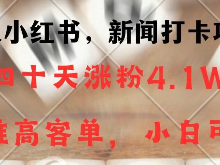 新闻打卡项目,小红书40天涨粉4.1w,高客单精准粉,变现能力超强